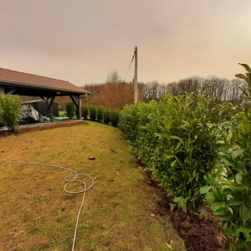 Entretien de jardin en Haute-savoie