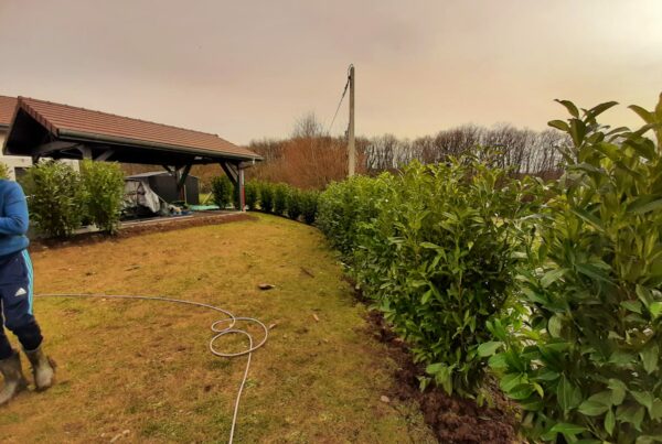 Entretien de jardin en Haute-savoie